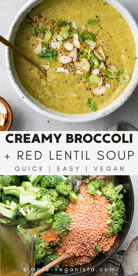 Broccoli And Bean Soup, Lentil Broccoli Soup, Creamy Vegan Lentil Tortilla Soup, Vegan Dinner Broccoli, Blended Broccoli Soup, Simple Vegan Soup, Cooked Lentil Recipes, Vegan Broth Soup, Lentil Ideas