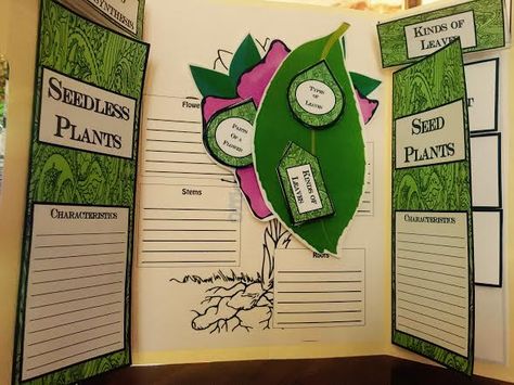 The Hermit Crabs Homeschool: Plants Lap Book Plant Activities For Kids, Plant Lap Book, Learning About Plants, Classical Conversations Cycle 1, Lap Books, Plant Activities, Lap Book, Plant Tissue, Notebook Pages