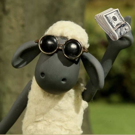 Shaun the sheep with money Sheep Meme, Sheep Cartoon, Timmy Time, Aesthetic Animals, Aardman Animations, Shaun The Sheep, Cute Jokes, Jokes Pics, Cool Wallpapers Cartoon