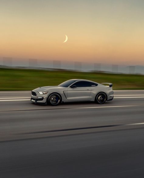 Mustang 5.0, Aesthetic Mustang, Mustang Photoshoot, Mustang Aesthetic, Silver Mustang, Mustang Gt 350, The Life I Want, Mustang Gt350, Future Vehicles