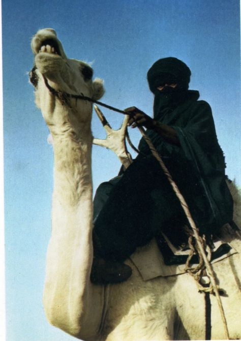 Cai Arabi, Tuareg People, Desert Life, African People, Arabian Nights, People Of The World, World Cultures, North Africa, People Around The World