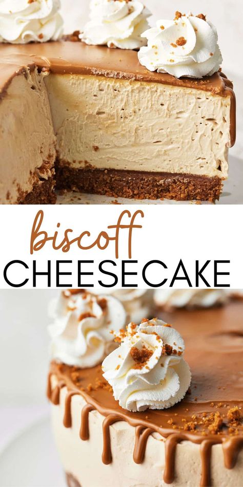 Biscoff Dessert, Unique Cheesecake Recipes, Unique Cheesecake, Cookie Butter Cheesecake, Lotus Biscoff Cheesecake, Biscoff Recipes, No Bake Cookie, Biscoff Cheesecake, Biscoff Spread