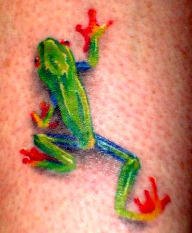 Climbing Green Tree Tattoo, Frog Tattoo Ideas, Tree Frog Tattoos, Tattoo Animals, Frog Tattoo, Family Tree Tattoo, Green Tree Frog, Pine Tree Tattoo, Red Eyed Tree Frog