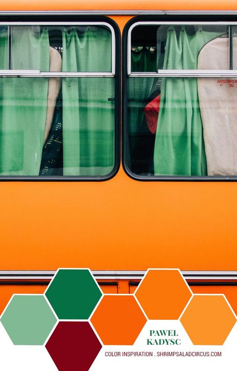 Orange Color Palettes, Green Inspiration, Jaune Orange, Brand Color Palette, Green Colour Palette, Tropical Colors, Trendy Home, Train Travel, Colour Schemes