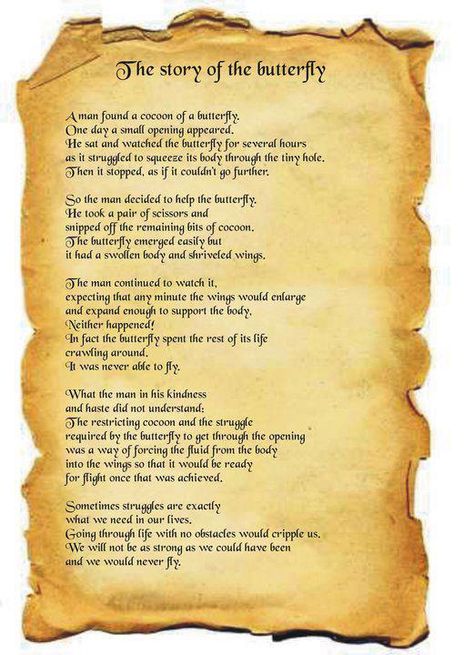 THE STORY OF THE BUTTERFLY A man found a cocoon of a butterfly, One day a small opening appeared He sat and watched the butterfly for several hours as it struggled to squeeze it's body through the tiny hole, then it stopped as if it couldn't go any further. So the man decided to help the butterfly. He took a pair of scissors and snipped off the remaining bits of cocoon. Short Inspirational Christian Stories, Butterfly Stories, Wisdom Stories, Inspiring Short Stories, Butterfly Story, Inspirational Short Stories, Inspirational Life Lessons, Butterfly Quotes, Butterfly Effect