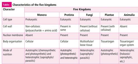 Characteristics of 5 kingdom classification 5 Kingdom Classification, Five Kingdom Classification, Kingdom Classification, Nuclear Membrane, Concept Maps, Eukaryotic Cell, Smocking Tutorial, 2nd Semester, Concept Map