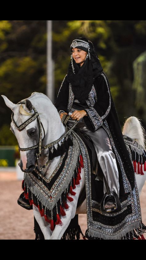 Arabian Horse Costume, Arabian Costume, Horse Costume, Happy Horse, Horse Costumes, Beautiful Arabian Horses, Horse Armor, Horse Accessories, Most Beautiful Horses