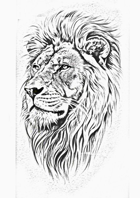 Lions Head Drawing, Lion Stencil Tattoo, Lion Tattoo Drawing, Lion Tattoo Stencil, Realistic Lion Drawing, Lion Black And White, Lion Stencil, Lion Art Tattoo, Face Coloring