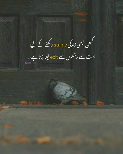 Urdu Dp, Loyal Quotes, Hajj Video, Urdu Learning, Quotes Heart Touching, Islamic Reels, Life Quotations, Cute Good Morning Gif, Islamic Dp Quotes