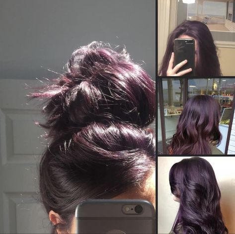 Natural Looking Purple Hair, Blackberry Hair Color Dark Short, Deep Lavender Hair, Hair Dye On Dark Hair, Purple Dark Hair, Deep Purple Highlights, Deep Hair Color, Warm Purple Hair, Black Hair Dye Ideas