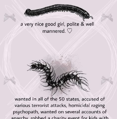 Millipede Aesthetic, Centipede Aesthetic, Centipede Art, Bug Memes, Millipedes, Terrifying Stories, Centipedes, Poor Things, Cool Bugs