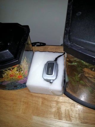 How to Quiet Your Aquarium Air Pump for Cheap : 6 Steps - Instructables Aquarium Pump, Aquarium Air Pump, Foam Blocks, Air Pump, Fish Tank, All You Need Is, Computer, Pumps, Fish