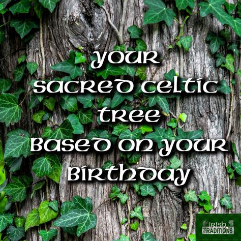 Celtic Tree Zodiac, Celtic Recipes, Irish Marriage Blessing, Irish Gods, Tree Zodiac, Celtic Tree Astrology, Marriage Blessing, Elder Sign, Celtic Christianity