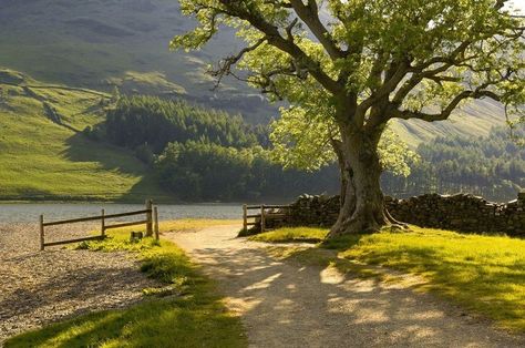 Pretty Landscapes, Jolie Photo, Cumbria, Nature Aesthetic, Pretty Places, Country Life, Mother Earth, Beautiful World, Pretty Pictures