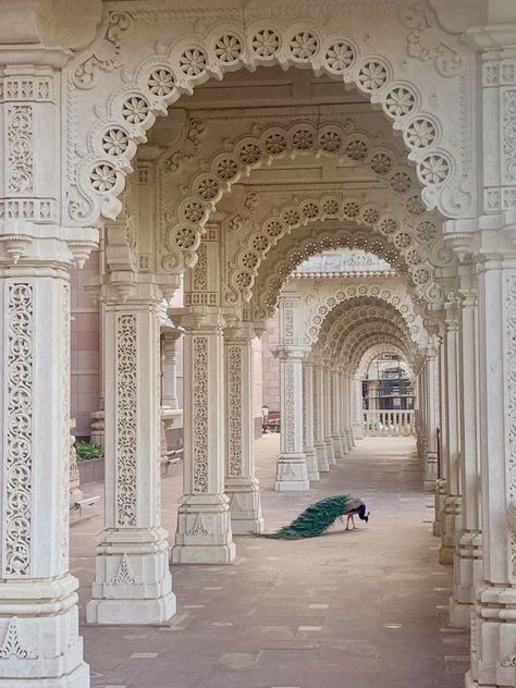 Mughal Architecture Interiors, Mughal Architecture Aesthetic, Traditional Indian Architecture, Peacock Architecture, Indian Architecture Sketches, Indian Palace Aesthetic, Indian Architecture Aesthetic, Mughal Aesthetic, Desi Architecture