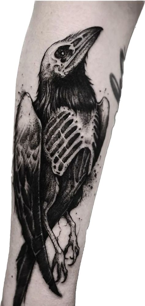 Black Crow Tattoos, Bird Skull Tattoo, Bookish Tattoos, Funky Tattoos, Tattoo Themes, Sharpie Tattoos, Crow Tattoo, Raven Tattoo, Badass Tattoos