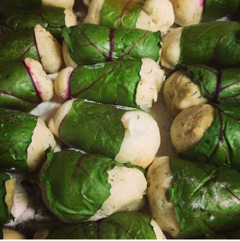 Beet Leaf Buns Beet Rolls, Beet Rolls With Dill Sauce, Beet Leaf Buns, Ukrainian Prune Buns, Beet Leaf Cabbage Rolls, Beet Leaf Holubtsi, Bread Machine Mixes, Drying Dill, Bread Maker