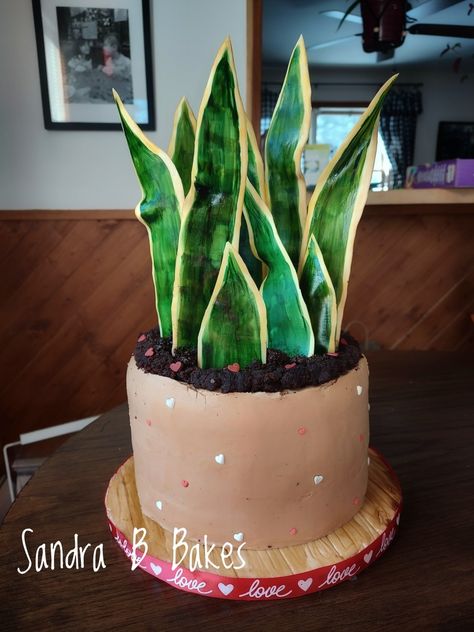 Plant Cakes Ideas, Pot Cakes, 12th Birthday, Snake Plant, Piece Of Cakes, 10th Birthday, 7th Birthday, Plant Lover, Party Food