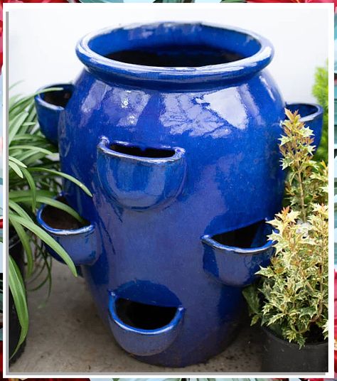 Looking to add a touch of creativity to your outdoor space? Check out these 11 unique garden pottery plant pot ideas that will elevate your garden decor. From whimsical designs to elegant styles, these plant pots are sure to make a statement in your garden. Find the perfect garden pottery plant pots to showcase your favorite plants and flowers. Plant Pot Ideas, Pottery Plant Pots, Strawberry Planter, Outdoor Pottery, Strawberry Pots, Pottery Plant Pot, Strawberry Planters, Clay Flower Pots, Pot Ideas