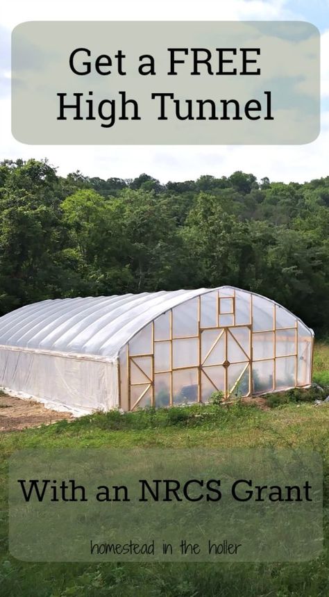 Farm Grants, Serre Diy, Homemade Greenhouse, Underground Greenhouse, High Tunnel, House Gardening, Aquaponics Greenhouse, Greenhouse Farming, Hoop House