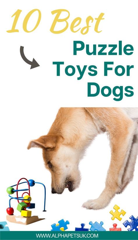 10 best puzzle toys for dogs Dog Challenge Ideas, Dog Stimulation Toys, Best Dog Toys To Keep Them Busy, Dog Mental Stimulation, Homemade Dog Toys, Toys For Dogs, Diy Dog Toys, Easiest Dogs To Train, Best Dog Toys