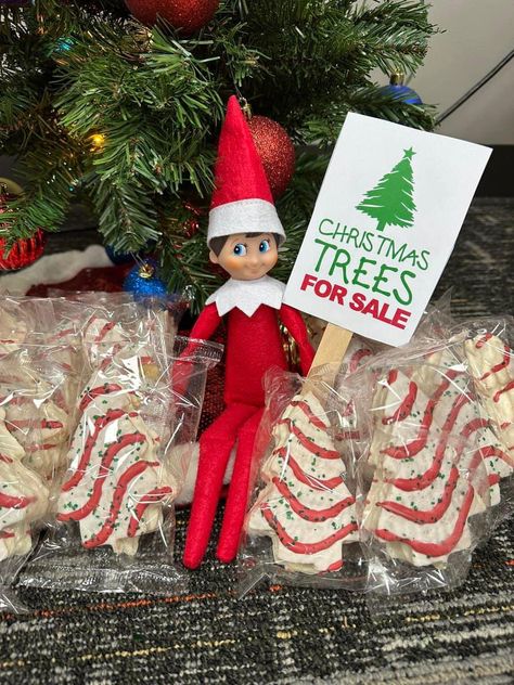 Elf Classroom, Elf Ideas Easy, Elf On The Shelf Idea, Elf Cookies, Elf Of The Shelf, Easy Elf On The Shelf, Elf Tree, Easy Elf, Elf Christmas Tree