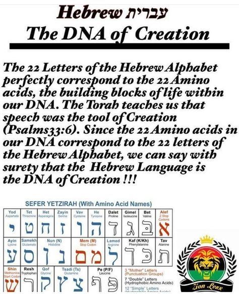 Ancient Hebrew Alphabet, Hebrew Language Learning, Bible Evidence, Hebrew Language Words, Learning Hebrew, Hebrew Lessons, Christian Studies, Biblical Hebrew, Hebrew Alphabet