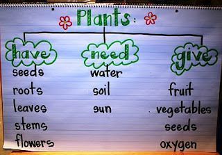 Plant Week, books, activities, hands on Plants Kindergarten, Plant Lessons, Science Anchor Charts, Preschool Garden, Dream Classroom, Thinking Maps, Spring Kindergarten, Plants Unit, Amazing Plants