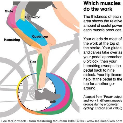 Cycling Muscles, Cycling Benefits, Cycle Training, Bike Training, Cycling Tips, Riding A Bike, Michelle Lewin, Massage Benefits, Spin Class