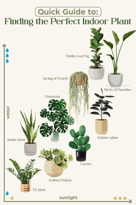 Indoor Plants Names, Wall Hanging Decorations, Indoor Plant Wall, Household Plants, Plant Care Houseplant, Hanging Plant Wall, Plants Wall, Hanging Plants Indoor, Inside Plants