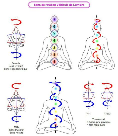 7 Chakras Meditation, Kundalini Meditation, The Seven Chakras, Yoga Kundalini, Pranic Healing, Sacred Geometry Symbols, Kundalini Awakening, Energy Healing Reiki, Spirit Science