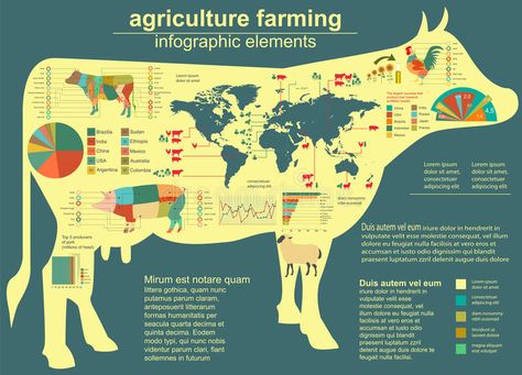 Agriculture, animal husbandry infographics, Vector illustrations. Try info graph , #Aff, #husbandry, #infographics, #Agriculture, #animal, #Vector #ad Animal Infographic, Infographic Inspiration, Animal Husbandry, Animal Agriculture, Infographic Poster, Instagram Photo Ideas Posts, Article Design, Graphic Design Resources, Science Art