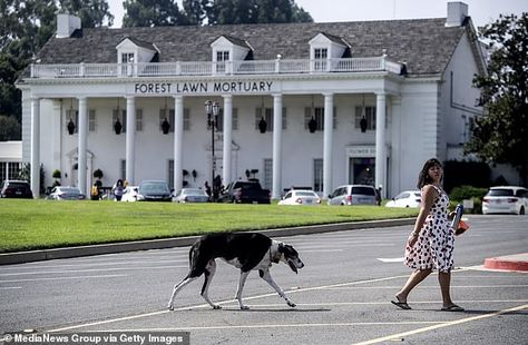 Forest Lawn Memorial Park was once dubbed as the Disneyland of cemeteries despite being built well before the original theme park Forest Lawn Memorial Park, Hollywood Music, Michael Hutchence, Matthew Perry, Memorial Park, Carrie Fisher, The Hills, Old Hollywood, Theme Park