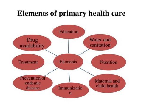 Primary health care elements Primary Health Care, Community Health Worker, Community Nursing, Health Disease, Fundamentals Of Nursing, Elements And Principles, Social Determinants Of Health, Nursing Notes, Disease Prevention