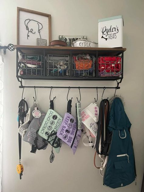 Dog Hanging Storage, Dog Organization Ideas Storage, Shelves For Dog Stuff, Dog Shelves Ideas, Pet Room Organization, Dog Office Ideas, Diy Dog Storage Ideas, Dog Item Storage, Dog Shelf Ideas