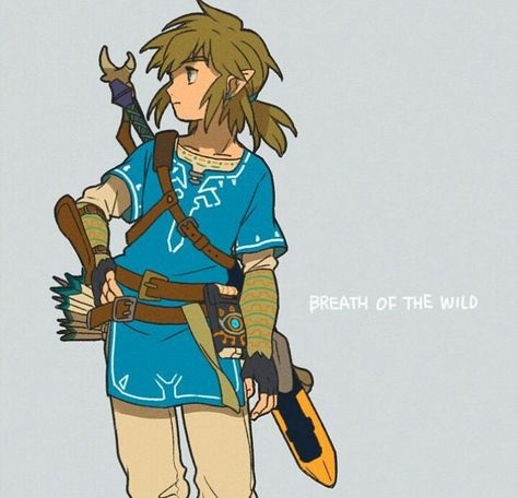 Botw Art, Link Fanart, Botw Link, Zelda Drawing, Link Botw, Botw Zelda, Princesa Zelda, Skins Minecraft, Zelda Botw