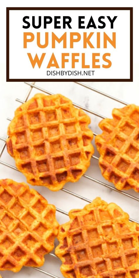 It's pumpkin season so it's time to make these super easy pumpkin waffles that are filled with the flavor of pumpkin and tastes of fall! These waffles make the perfect breakfast, brunch or dessert. Gluten-free and dairy-free too! | gluten free waffles | dairy free waffles | pumpkin waffles | gluten free pumpkin recipes | gluten free desserts | recipes with pumpkin | gluten free dairy free recipes #dairyfree #glutenfree #pumpkinwaffles #wafflerecipes #pumpkinrecipes #dessertrecipes Pumpkin Recipes Breakfast, Brunch Ideas Gluten Free, Pumpkin Waffles Healthy, Pumpkin Waffles Easy, Gluten Free Pumpkin Waffles, Breakfast Brunch Ideas, Recipes With Pumpkin, Pumpkin Waffles Recipe, Waffles Breakfast