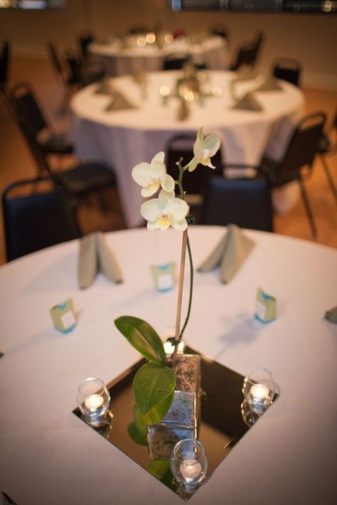 Orchid Centerpiece Ideas, Potted Orchid Centerpiece, Orchid Wedding Centerpieces, Orchids Centerpiece, Orchid Wedding Theme, Orchid Centerpieces Wedding, Orchid Centerpiece, Simple Centerpiece, Tropical Wedding Inspiration