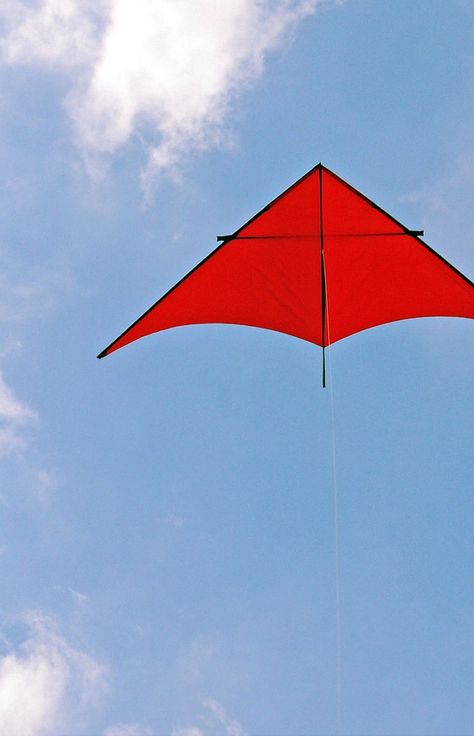 A Dan Leigh CL-88 delta kite - Hackney Marshes. Hackney Marshes, Homemade Kites, Kite Building, Kite Tattoo, Kite Store, Dragon Kite, Delta Kite, Kite Making, Kite Designs