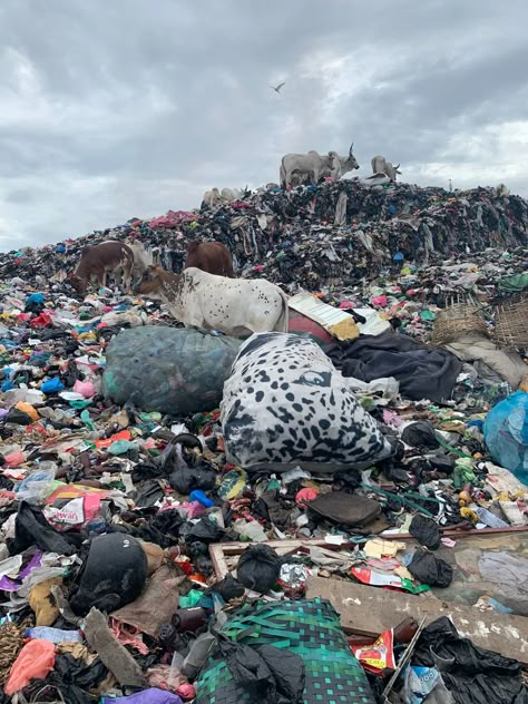 Fast Fashion Environment, Stop Fast Fashion, Fast Fashion Environmental Impact, Anti Consumerism, Sustainability Fashion, Waste Clothing, Fashion Waste, United Nations Environment Programme, West African Countries