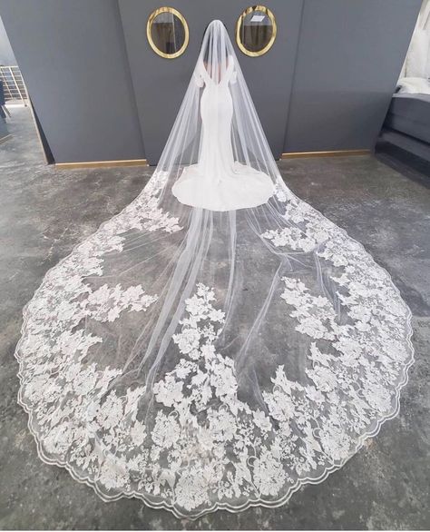 Black Owned Everything ™ on Instagram: “[ @pantorabridal ] For ALL of those newly engaged soon-to-be brides that flooded our timelines this holiday season! 🥂” Long Cathedral Veil, Wedding Gown Preservation, Lace Cathedral Veil, Simple Veil, Beaded Veils, Fingertip Veil, Cathedral Length Veil, Vintage Inspired Wedding Dresses, White Wedding Gowns