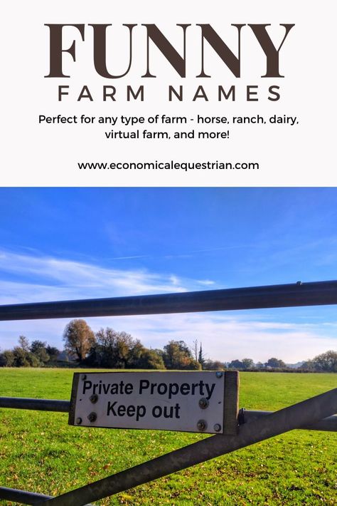 Funny Farm Names for any type of barn.  Are you trying to name a ranch, horse farm, dairy farm, crop farm, virtual or online farm?  Then this list is for you! Farm Names, Door Arbor, Ranch Names, Cottage Names, Horse Farm Ideas, Types Of Farming, Ranch Horse, Goat Barn, Chicken Coup