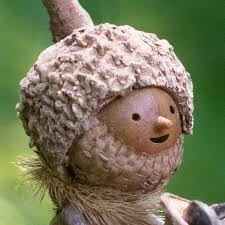 Acorn Gnome, Acorn Men Crafts, Becorns By David Bird, Acorn People How To Make, Acorn People, Cabin Crafts, Acorn Crafts, Man Crafts, Elves And Fairies