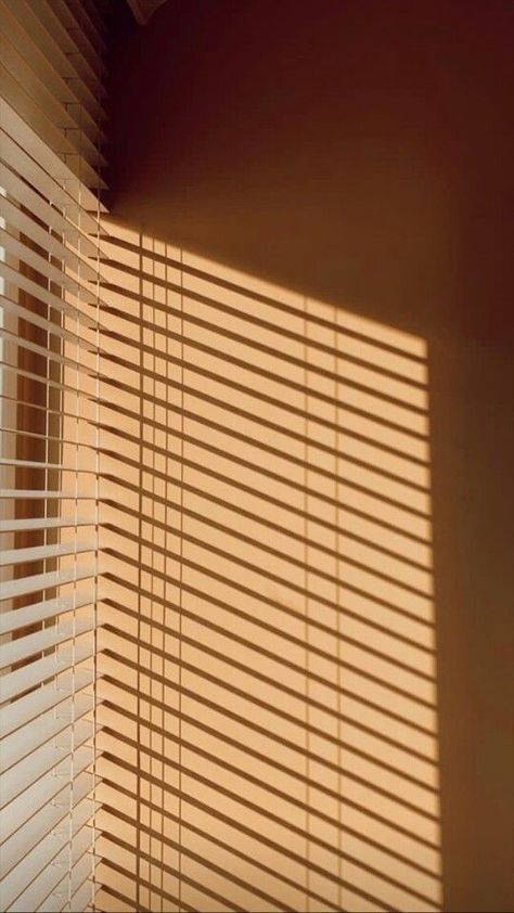 Sun Blinds Aesthetic, Sun Shadow Window, Light And Shadow Photography, Window Shadow, Sun Blinds, Shadow Photography, Shadow Pictures, Aesthetic Rooms, Tumblr Photography