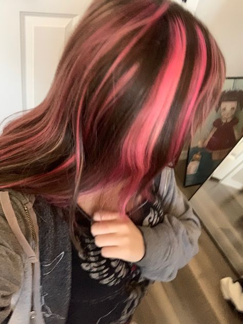 Striped Pink Hair, Brown And Pink Skunk Stripe Hair, Pink N Brown Hair, Brown And Pink Highlights Hair, Dark Pink Hair With Light Pink Highlights, Pink Skunk Highlights In Brown Hair, Pink And Black Skunk Stripe Hair, Brown Hair With Pink Skunk Stripe, Red And Brown Skunk Stripe Hair