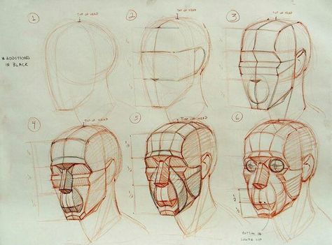 Planes of the head Head Construction, Head Anatomy, Old Head, Head Drawing, Human Anatomy Drawing, Human Anatomy Art, Drawing Heads, Anatomy Sketches, Drawing Studies