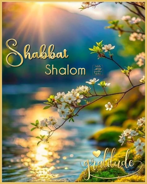 🕊 Whichever day you picked as your seventh day, spending it with Father and keeping it Holy as He asked ― have a Blessed one.  #ShabbatShalom #mvcquotes #YHWH #AbbaFather #ALMIGHTYGOD #HOSTofHosts #AncientOfDays #YeshuaHaMashiach #MessiahJesusChrist #TheWayTruthLife #Bible #ConsultTheWORD #ReadItInItsContext #LinktreeMVCquotes #1John4 #Matt5 #Romans1 #StayCourageous 🌼🤗💛⚘🕊 Sabbath Greetings Shabbat Shalom, Shabat Shalom Image, Shabbat Shalom Quotes, Sabbath Blessings, Happy Sabbath Quotes, Kindness Lessons, Sabbath Quotes, Shabbat Shalom Images, Aleph Bet