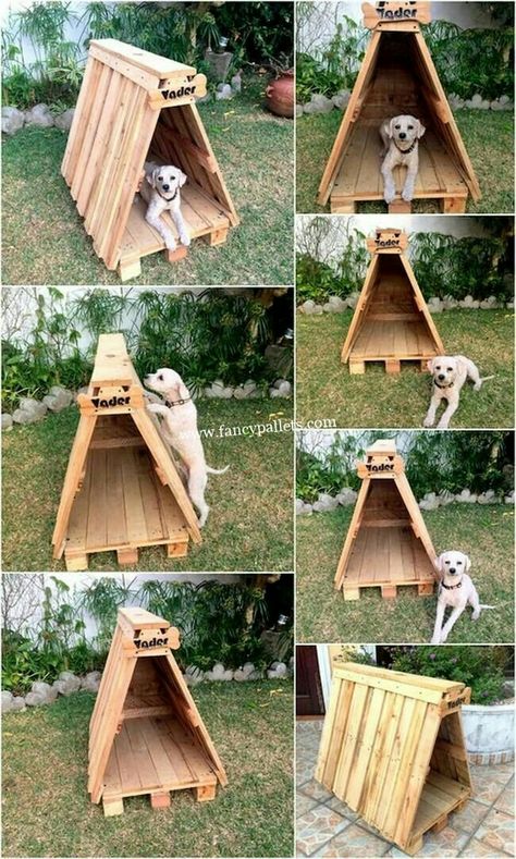 Dog House Diy Outdoor, Diy Projects Wood, Pallet Dog House, Build A Dog House, Outdoor Dog House, Dog House Plans, Dog House Diy, House Landscaping, Front House