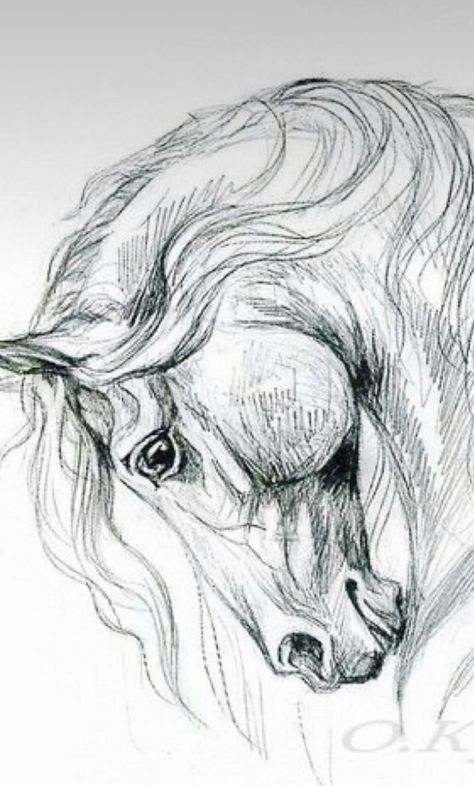 Draw Horse Head, Horse Head Drawing Tutorial, Horse Face Sketch, Horse Face Drawing, Angry Horse Drawing, Horse Sketch Art, Horse Head Sketch Simple, Horse Pencil Drawing, Cai Arabi