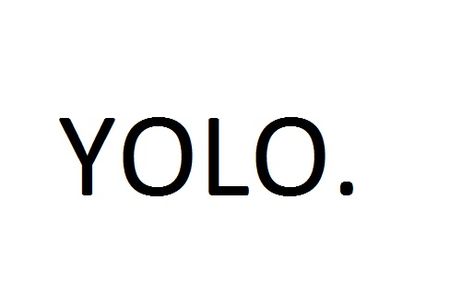 #YOLO The only thing that disagrees is your cat.     See what I did there? Yolo Mindset, Yolo Tattoos, Yolo Aesthetic, Yolo Quotes, Yolo Lifestyle, Yolo Quote, Bow Quotes, Black Bird Tattoo, Wall Drawings